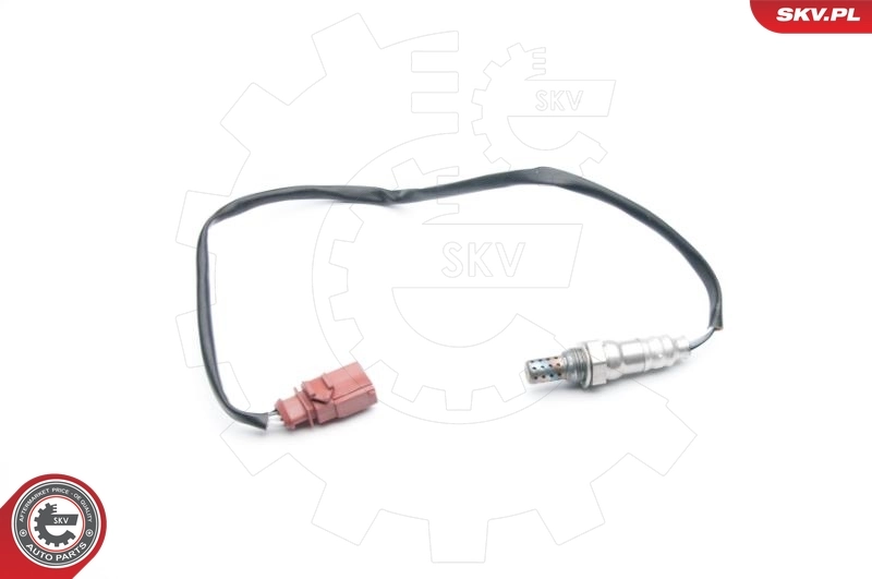 Oxygen Sensor
